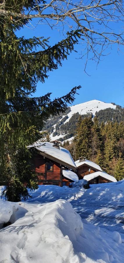 לה ג'ט Le Chalet De Nabor מראה חיצוני תמונה